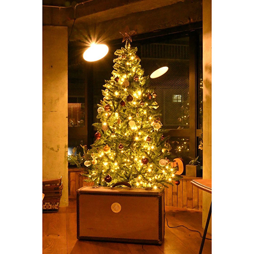 【 クリスマスツリー 】和歌山市十二番丁にある@favoritecoffeeさんの2階に大きなクリスマスツリーが登場！飾りをつけてライトアップするとステキですね！ツリーは当店にてお買い上げいただきました。ありがとうございます！