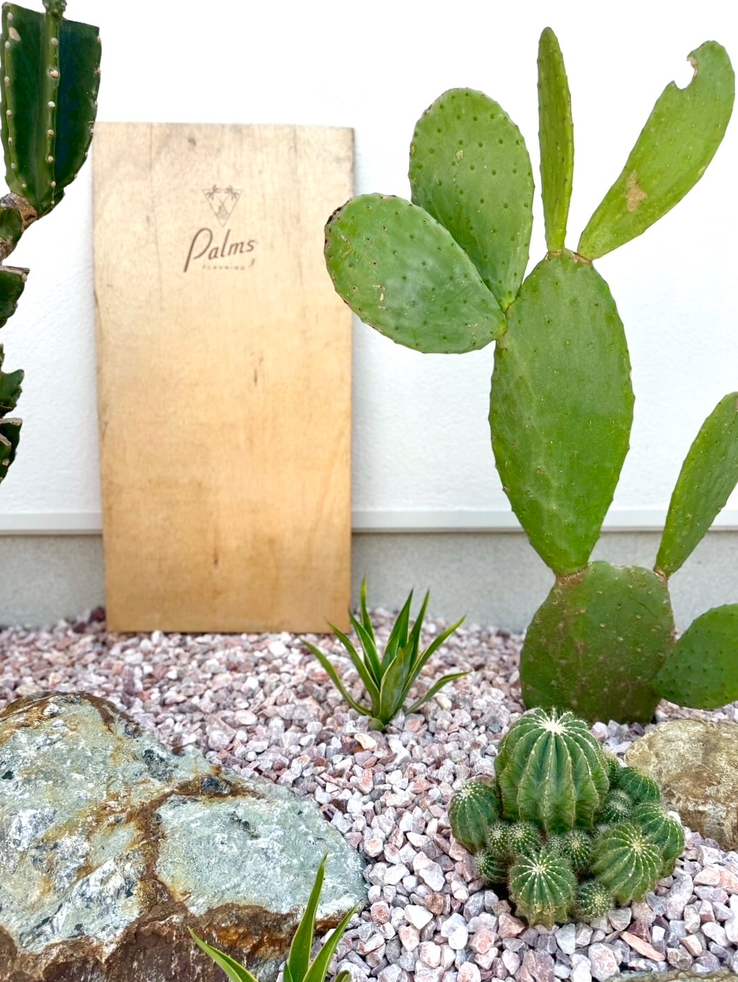 Spanish Style × 18坪× LIFE with PET