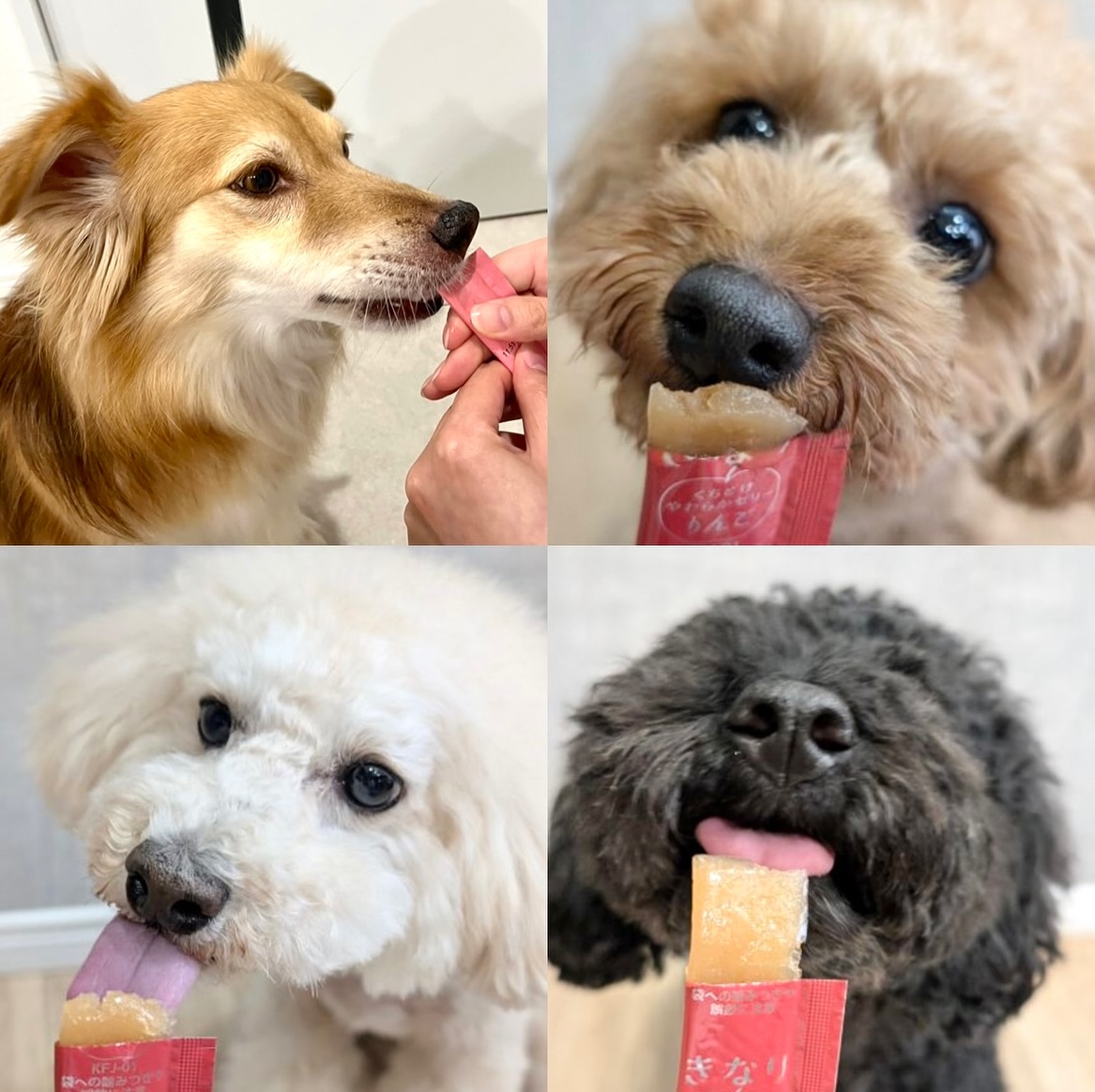 きなり くちどけやわらかゼリー